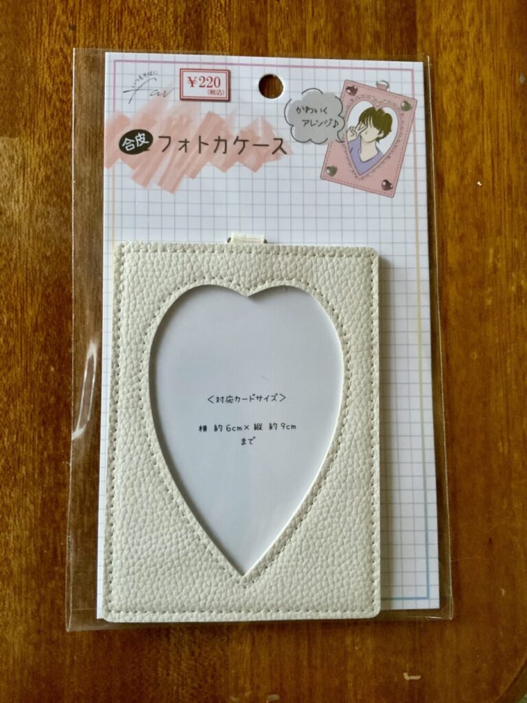キャンドゥ　合皮フォトカケース