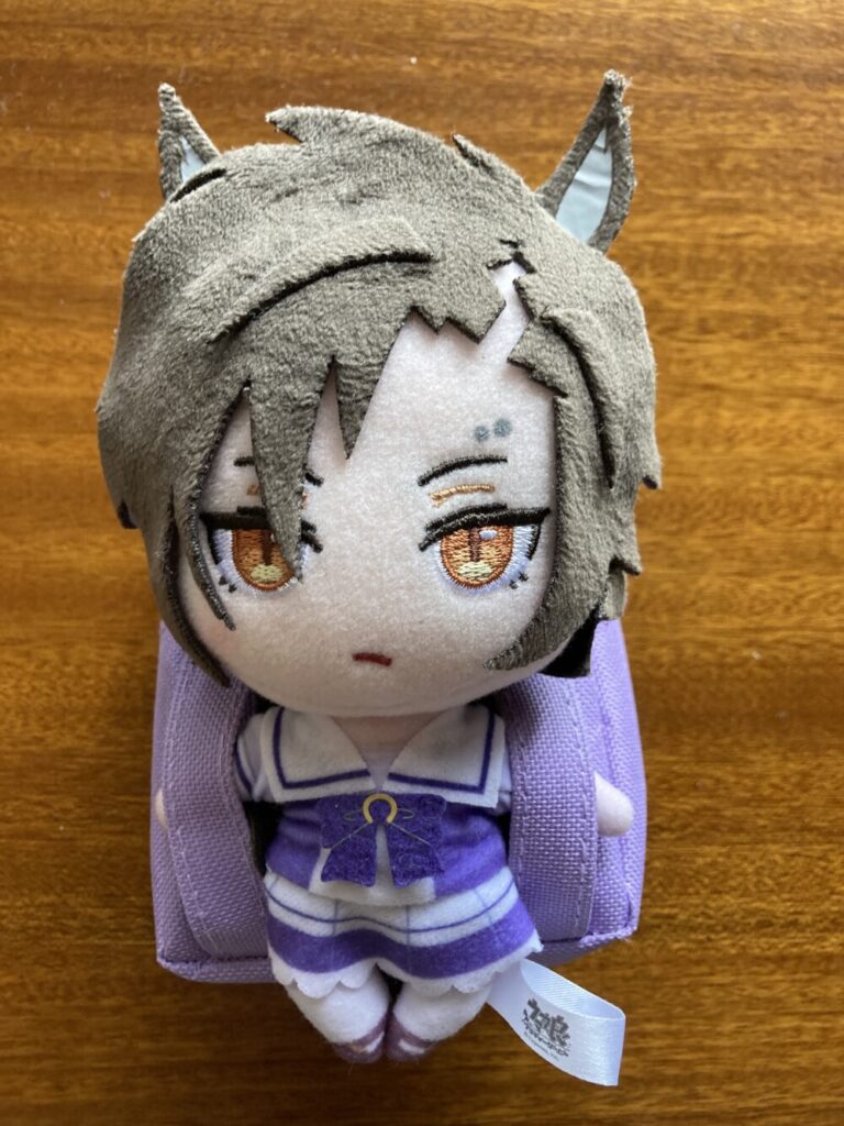 シャカールにリュック背負わせてみた