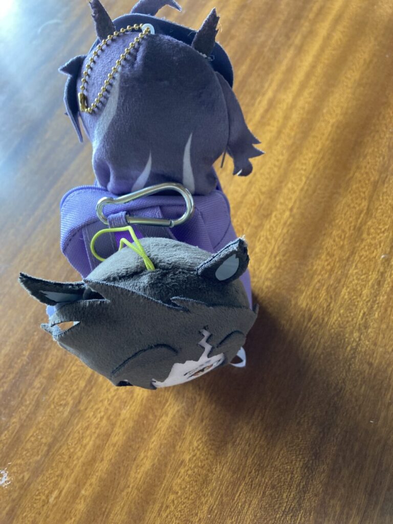 リュックを背負う