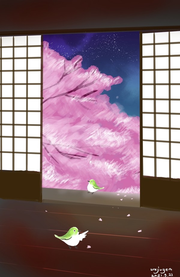 夜桜